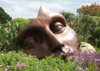 Jenis-Jenis Syirik dan Hukumnya