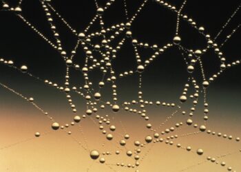 Cara Membahas Sesuatu Secara Sistematis