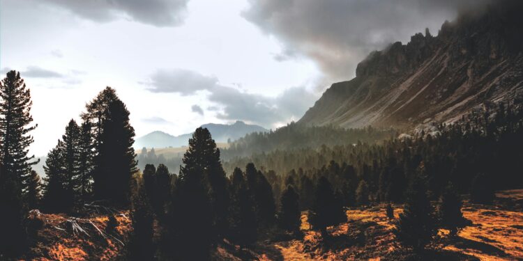 Source: https://www.pexels.com/id-id/foto/siluet-bukit-gunung-dengan-pohon-pinus-di-bawah-awan-putih-langit-biru-707344/